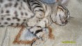 /album/fotogaleria/a036-jpg/